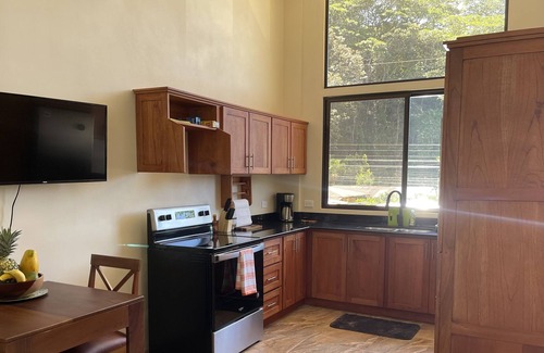 Dominicalito Apartamento | Attention Surfers, Beach Lovers, Monkey and Birdwatchers, paved access