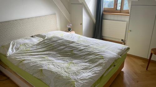 Jouxtens-Mezery Apartamento | Attic Apartement - Penthouse 2 Bedrooms