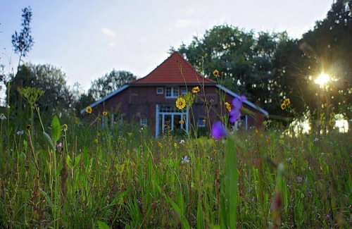 Mansie Apartamento | Atractivo apartamento en Westerstede
