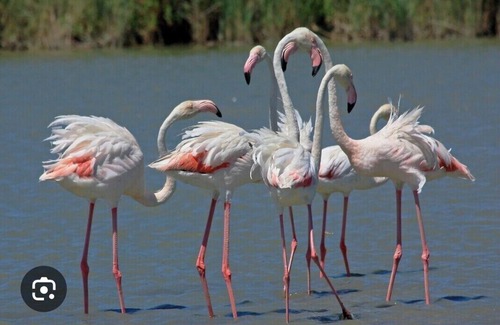 Montpellier Alquiler De Eote | Atypical accommodation on the Camargue waterfront