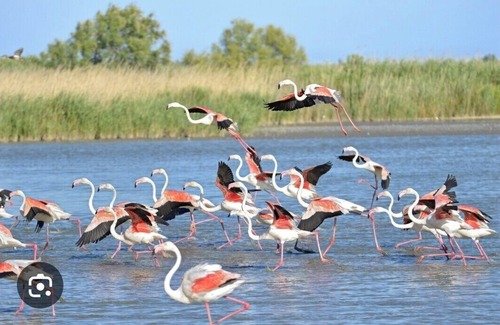 Montpellier Alquiler De Eote | Atypical accommodation on the Camargue waterfront