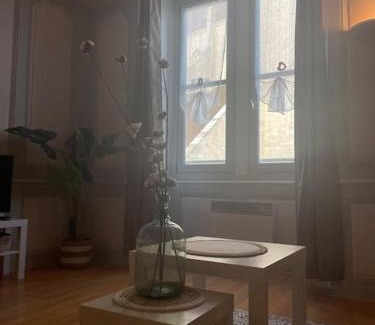 Dole Apartamento | « Au cœur de Dole »