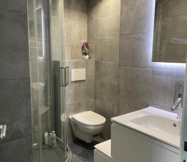 La Roche-sur-Foron Apartamento | "Au cœur des Alpes 3" terrasse et parking privé