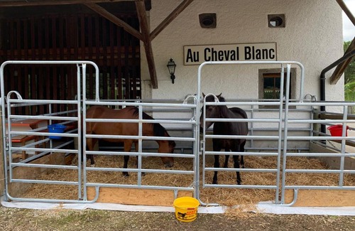 Asuel Casa | Au Cheval Blanc