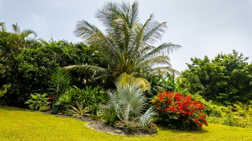 Sainte-Rose Casa | Au jardin d'Eole