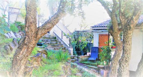 Pierrefeu-du-Var Cama Y Desayuno | Au Jardin Des Couleurs