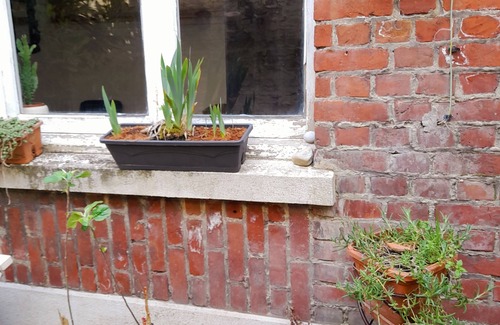 Tourcoing Apartamento | Au Jardin Mini