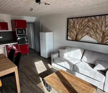 Les Deux Alpes Apartamento | Au Myosotis, cosy au pied des pistes avec vue et cœur de station