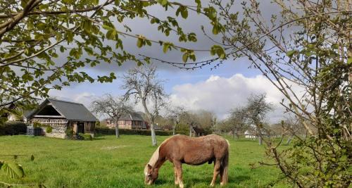 Saint-Sylvestre-de-Cormeilles Casa | Au p'tit jardin
