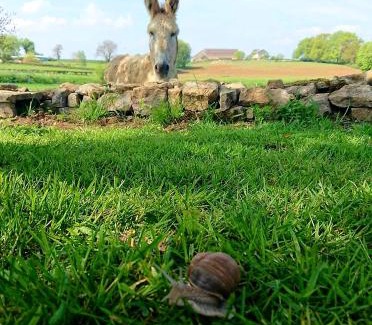 Bazolles Casa | Au pied de l étang et du canal du Nivernais bazolles