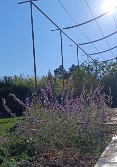 Cavaillon Casa | Au Romarin
