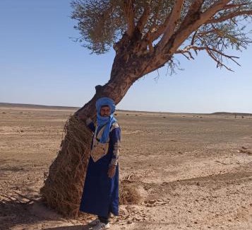Foum Zguid Casa | AUBERGE SAHARA IRIKI & Désert Tours