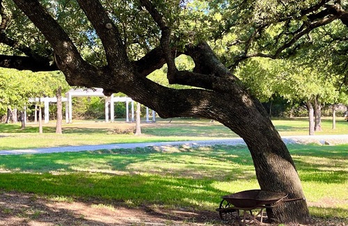 Clifton Cabaña | AUDUBON Romantic Cottage on Private Country Estate-40 min. to Waco