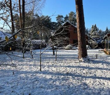Borkheide Casa | Auf der Heide