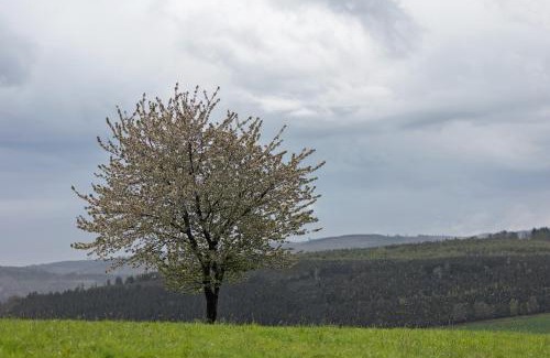 Ortsmitte Apartamento | Auf Der Stadtmauer