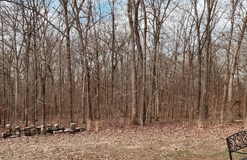 Gilbertsville Cabina | Cozy Lake Cabin!