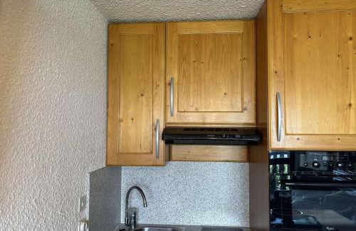 Auris Apartamento | Auris en Oisans: Appart 4 pers, 250m pistes, balcon, parking gratuit, animaux admis - FR-1-297-339