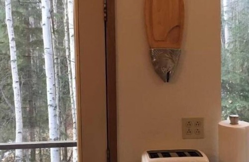 Fairbanks Apartamento | Aurora SkyFire Manor