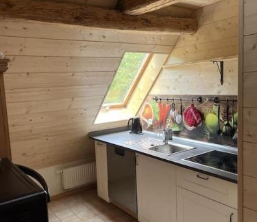 Triberg im Schwarzwald Apartamento | Auszeit am Kreisbach