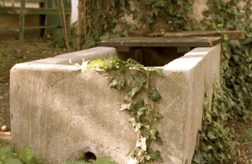 Apetlon Casa | Auszeit - Ferienhaus/2 Schlafräume/bad, WC