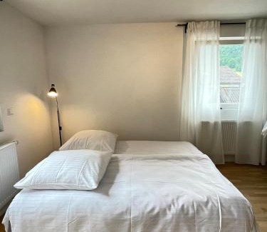 Baden-Baden Apartamento | Auszeit im Grünen - citynah