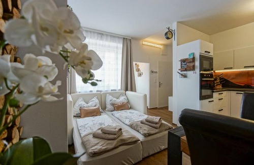 Leoben Apartamento | AusZeit Steiraland 8 mit überdachten Balkon und Parkplatz