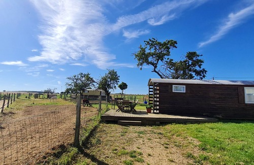 Burthecourt-aux-Chenes Cabaña | Caravana bohemia en la naturaleza al sur de Nancy