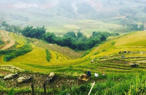 Sa Pa Apartamento | Authentic Homestay Sapa