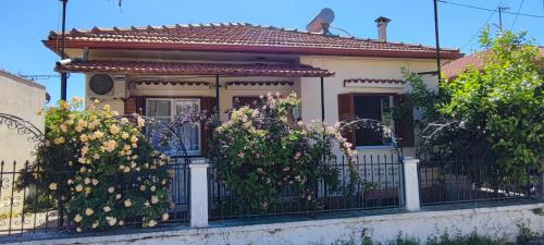 Aristotelis Casa | AUTHENTIC HOUSE STRATONI CHALKIDIKI GREECE 6P SEAVIEW