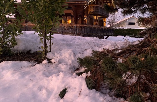Vinzier Chalet De Esquí | Chalet Real Saboya