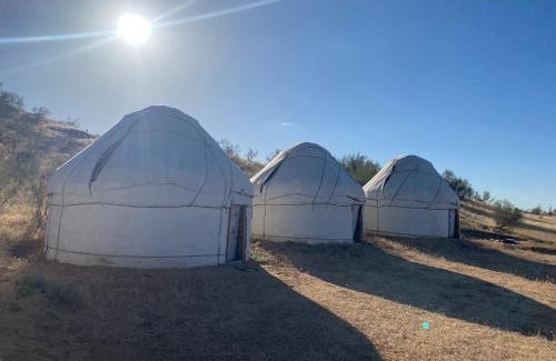 Nurata District Otro | Authentic Uzbek Yurt Camp eco-friendly
