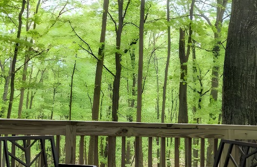 Berkeley Springs Casa | Autumn Wings - A Natural Retreat