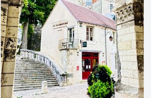 Saint-Aignan Casa | Aux grilles du Château de Saint-Aignan, à 2km de Beauval, les maisons de Sidonie et Léonard