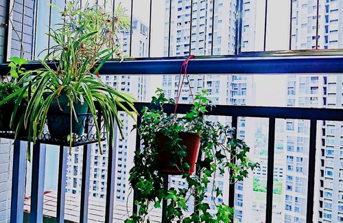Futian Apartamento | Avatar Gallery Large Queen Bed & High Rise View