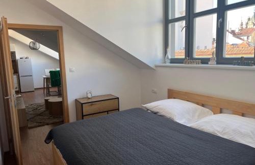 Ceske Budejovice Apartamento | Aviatik apartments