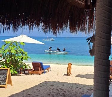 Daanbantayan Complejo | Avila's Horizon Dive Resort Malapascua