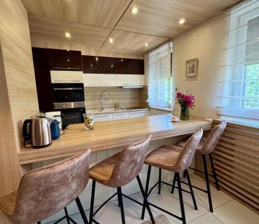 Nyiregyhaza Apartamento | AVIRA Apartman with Free Private Garage