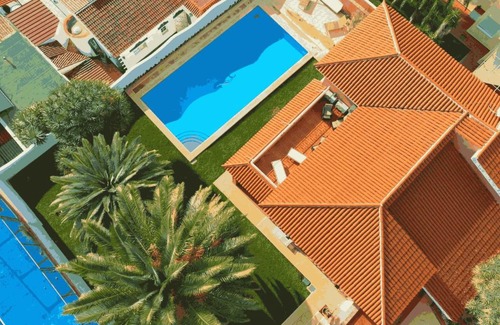 Tabaiba Casa | Avo House Garden