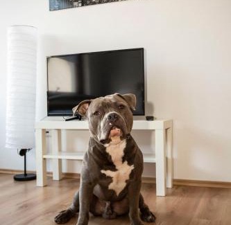 Klushof Apartamento | AVR Apartment HOF 8