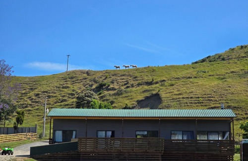 Tolaga Bay Casa | Awa on Factory Road