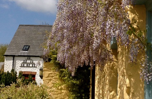 Haverfordwest Cabaña | 'Galardonado' Beautiful 170 Años Pembrokeshire Piedra Holiday Cottage