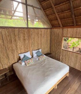 Costa Caribe Cabina | Awatawaa Ecolodge