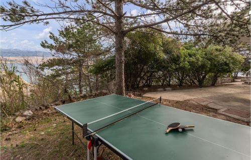 Bosana Apartamento | Awesome Apartment In Novalja