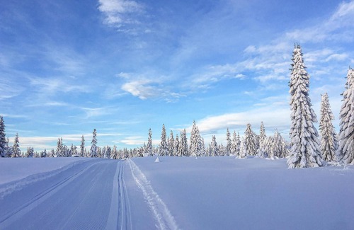 Sjusjoen Apartamento | Impresionante apartamento en Sjusjøen.