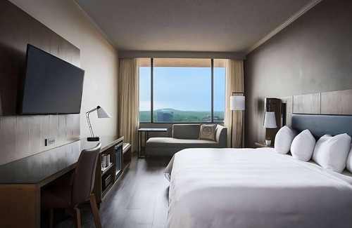 Nashville Hotel | Awesome Find! w/ Roundtrip Airport Shuttle, Swimming Pool, Pets are Welcome!