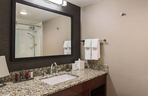 Nashville Hotel | Awesome Find! w/ Roundtrip Airport Shuttle, Swimming Pool, Pets are Welcome!