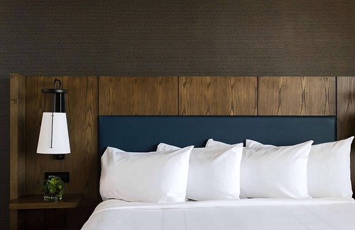 Nashville Hotel | Awesome Find! w/ Roundtrip Airport Shuttle, Swimming Pool, Pets are Welcome!