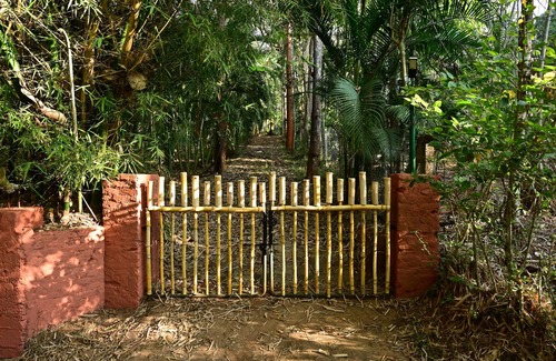 Kidanganad Complejo | Ayurguru ayurvedic kalari Resort