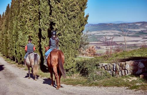Campiglia d'Orcia Casa | Az.Agr. Il Cavalleggero