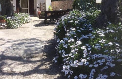 Chiesiola Cama Y Desayuno | Azienda Agricola B&B Macchiaria